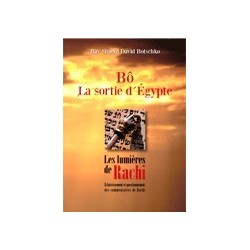 Lumières de Rachi -Bô- Sortie d'Egypte