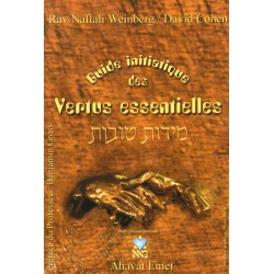 Guide initiatique des vertus essentielles