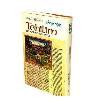 La Bible commentée TEHILIM 2