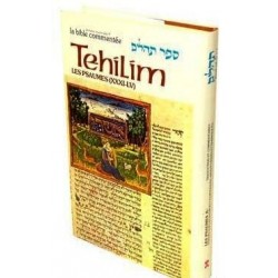 La Bible commentée TEHILIM 3