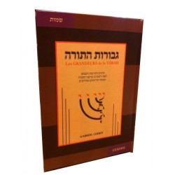 Les GRANDEURS de la TORAH Guevourot Hatorah Chemot L'exode TOME 2