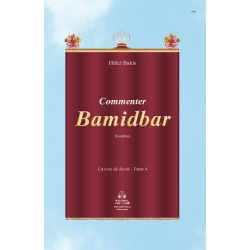 La Voix de Jacob Bamidbar