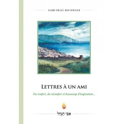 LETTRES A UN AMI