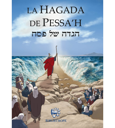 hagada de pessah sefarad couleur