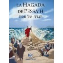 hagada de pessah sefarad couleur