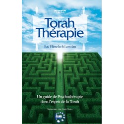 Torah Thérapie - Un guide de psychotérapie dans l'esprit de la Torah