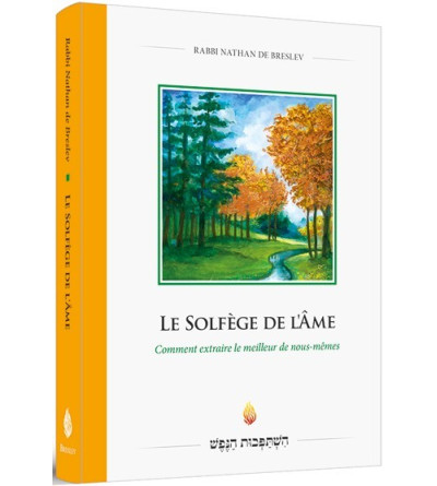 LE SOLFÈGE DE L’ÂME - Comment extraire le meilleur de nous-mêmes