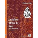 les juifs en afrique du nord - Une Chronologie