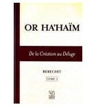 Or Ha'Haïm - Béréchit - Tome 1- De la création au déluge