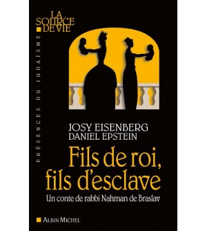 Fils de roi, fils d'esclave