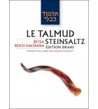 Betsa - Roch Hachana - Le Talmud Steinsaltz T11 (couleur)