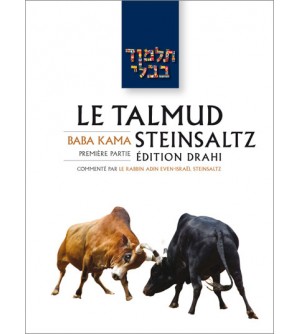 Baba Kama I - Le Talmud Steinsaltz T23 (couleur)