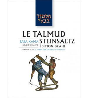 Baba Kama II - Le Talmud Steinsaltz T23 (couleur)