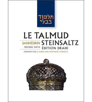 Sanhedrin I - Le Talmud Steinsaltz T29 (couleur)