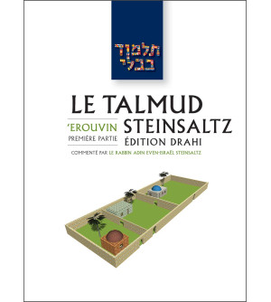 'Erouvin 1 - Le Talmud Steinsaltz T5 (couleur)