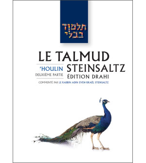 'Houlin 2 - Le Talmud Steinsaltz T38 (couleur)