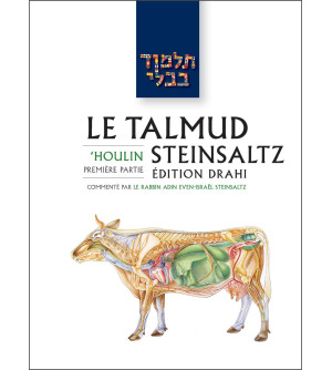 'Houlin 1 - Le Talmud Steinsaltz T37 (couleur)